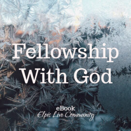 Fellowship With God-Display img